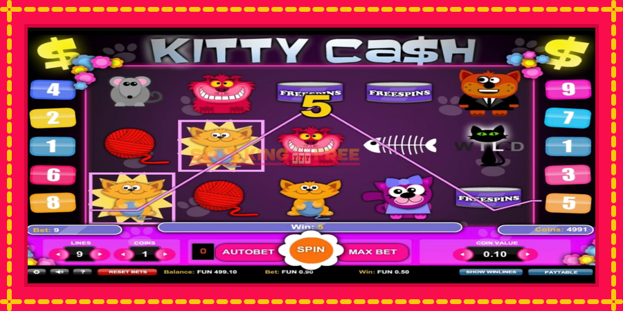 Kitty Cash - automaatne põnevate proovitükkidega